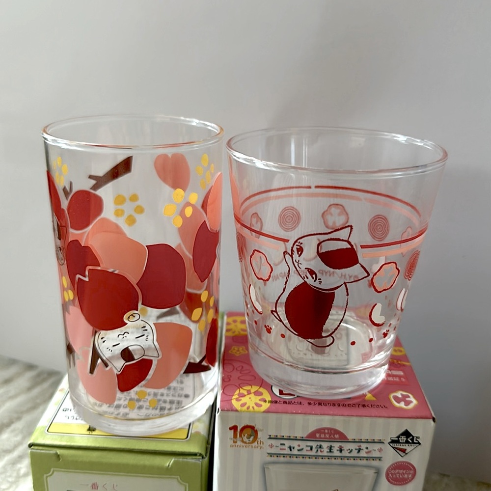 Natsume’s Book / New! 2 set of glasses